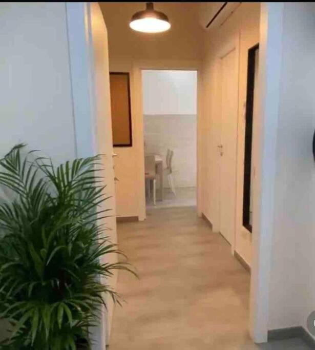 Casa Zia Gina Guest House Nel Centro Di Roma Exteriör bild